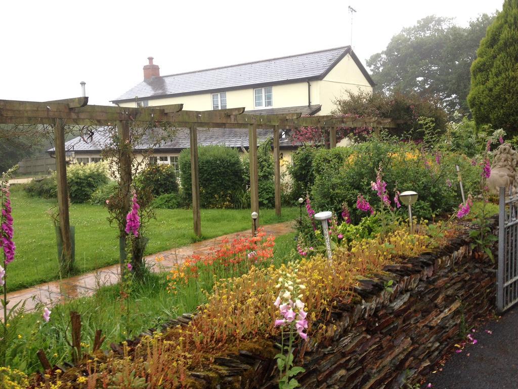 Barton Gate Farm B&B Bude Ngoại thất bức ảnh